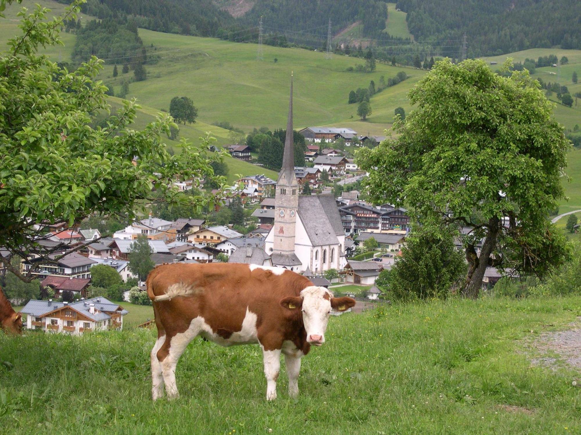 Apartamento Feriennest Leitner Maria Alm am Steinernen Meer Exterior foto